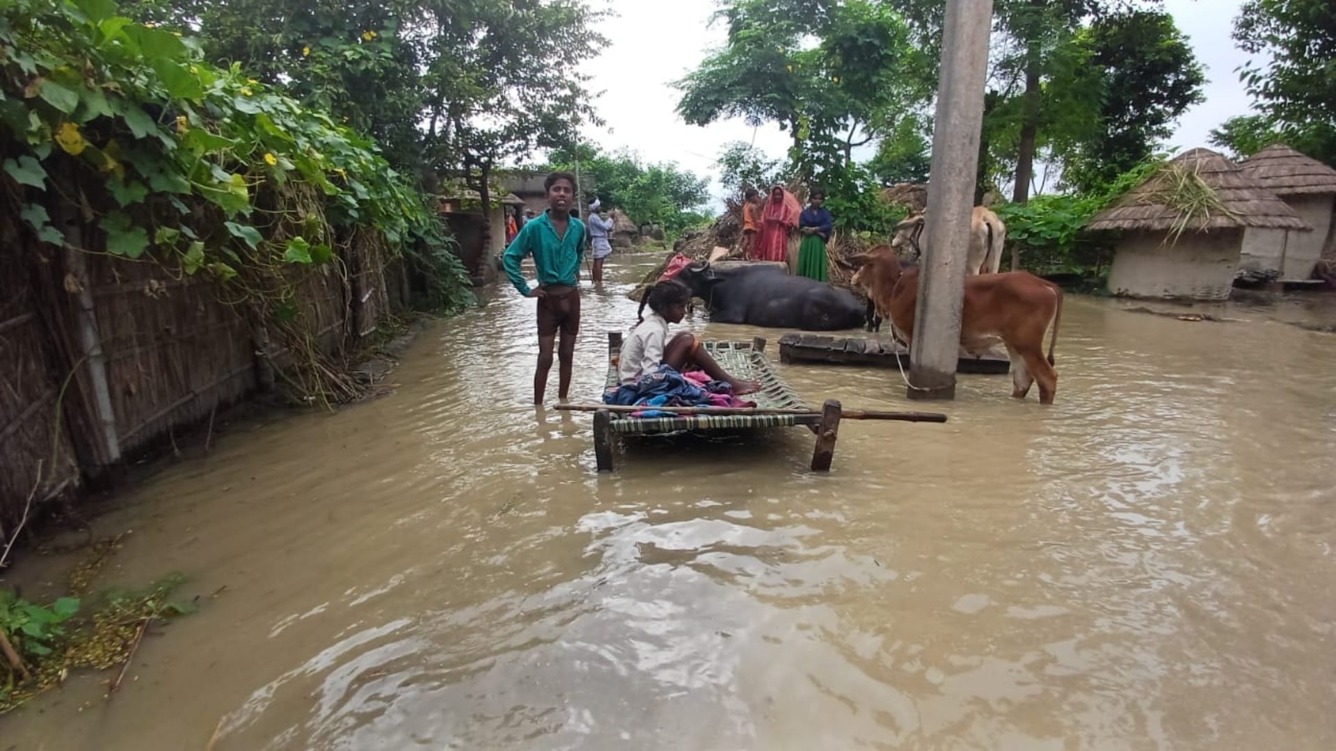 Bihar Flood Update Government Resuce Operation for Flood Victims in West Champaran News in Hindi