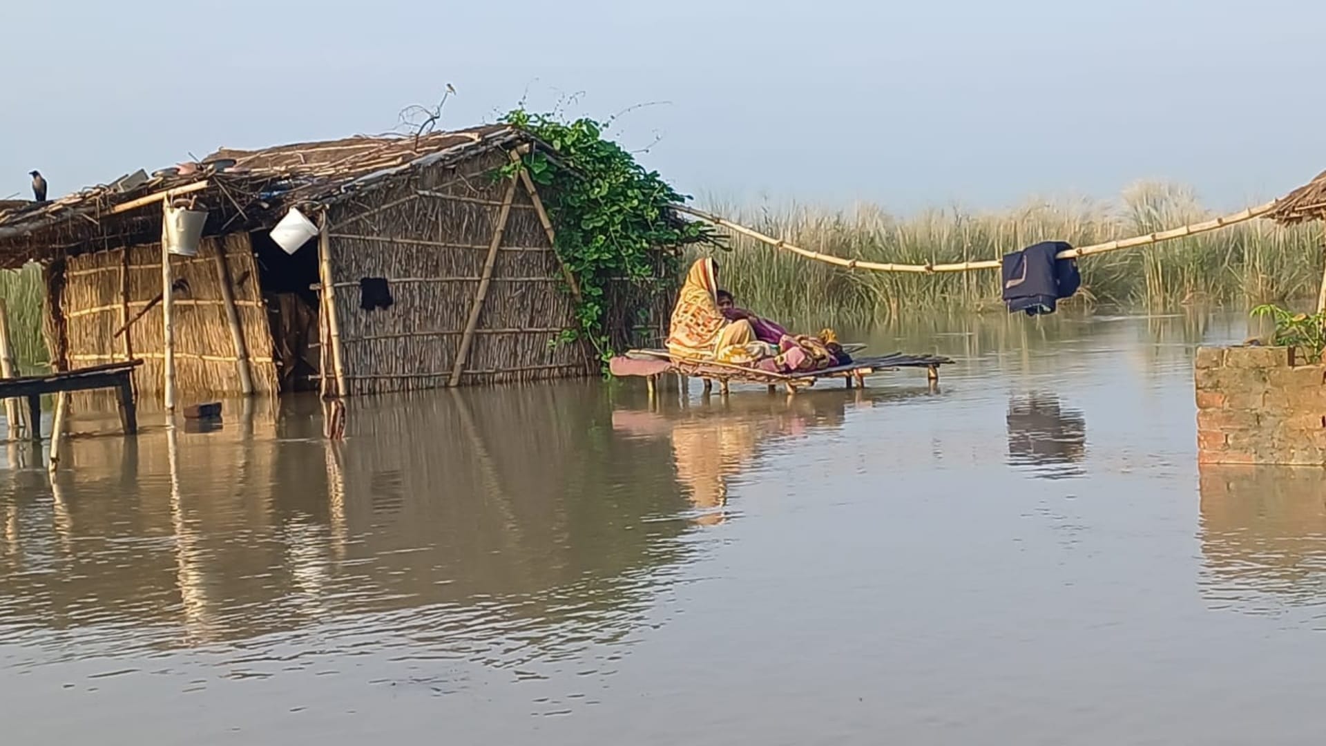 Bihar Flood Update Government Resuce Operation for Flood Victims in West Champaran News in Hindi