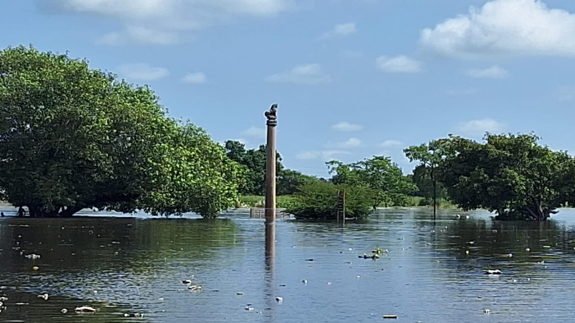 Bihar Flood Update Government Resuce Operation for Flood Victims in West Champaran News in Hindi