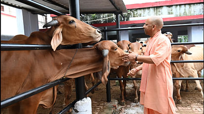 जनता दर्शन:गोरखपुर में CM योगी ने 200 लोगों की फरियाद सुनी-'जल्द निस्तारित हो समस्याएं',बच्चों पर लुटाया प्यार During his stay in Gorakhpur, CM Yogi listened to the complaints of 200 people in Janata Darshan.