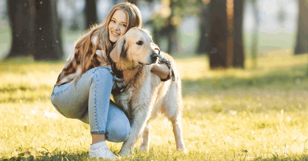 Greater Noida Authority has implemented the revised dog policy