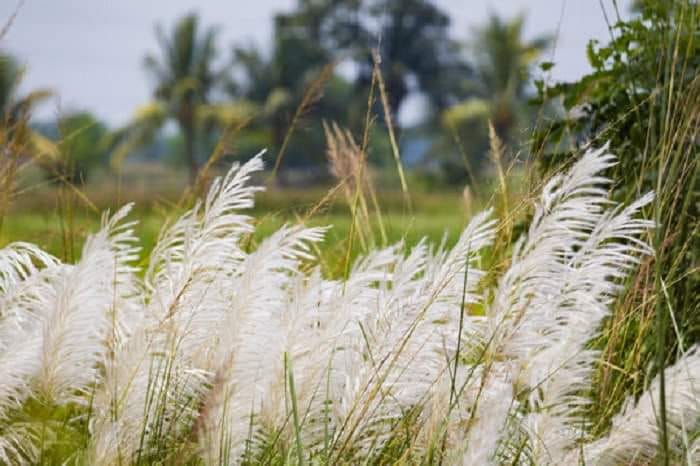 UP Weather Update: Signs of departure of monsoon