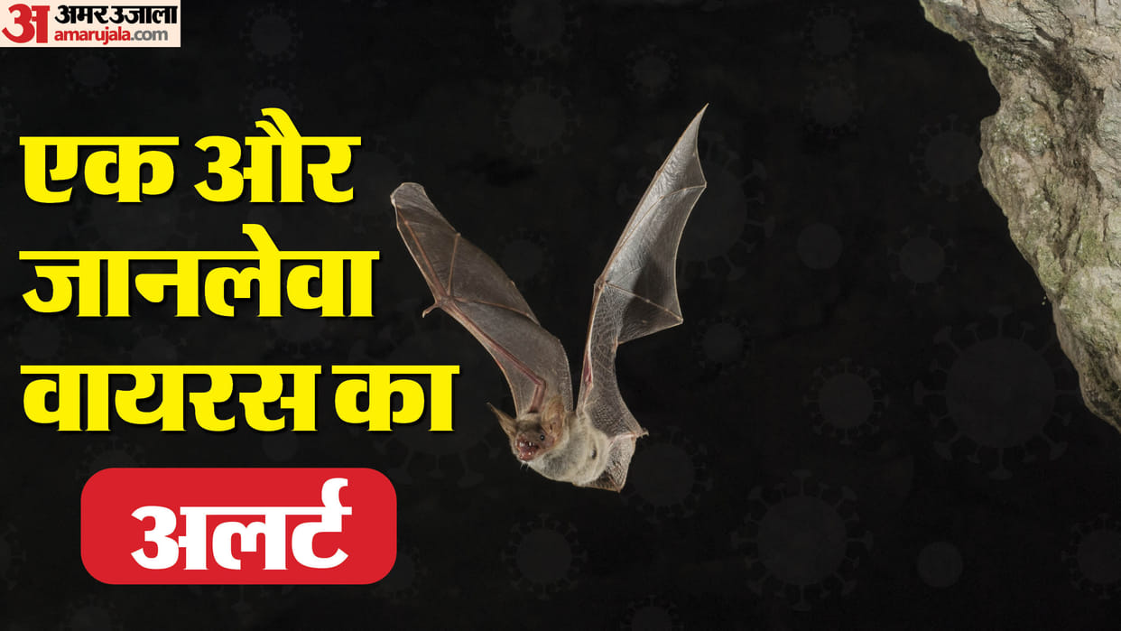 Marburg virus outbreak and latest news know marburg virus symptoms and complications in hindi