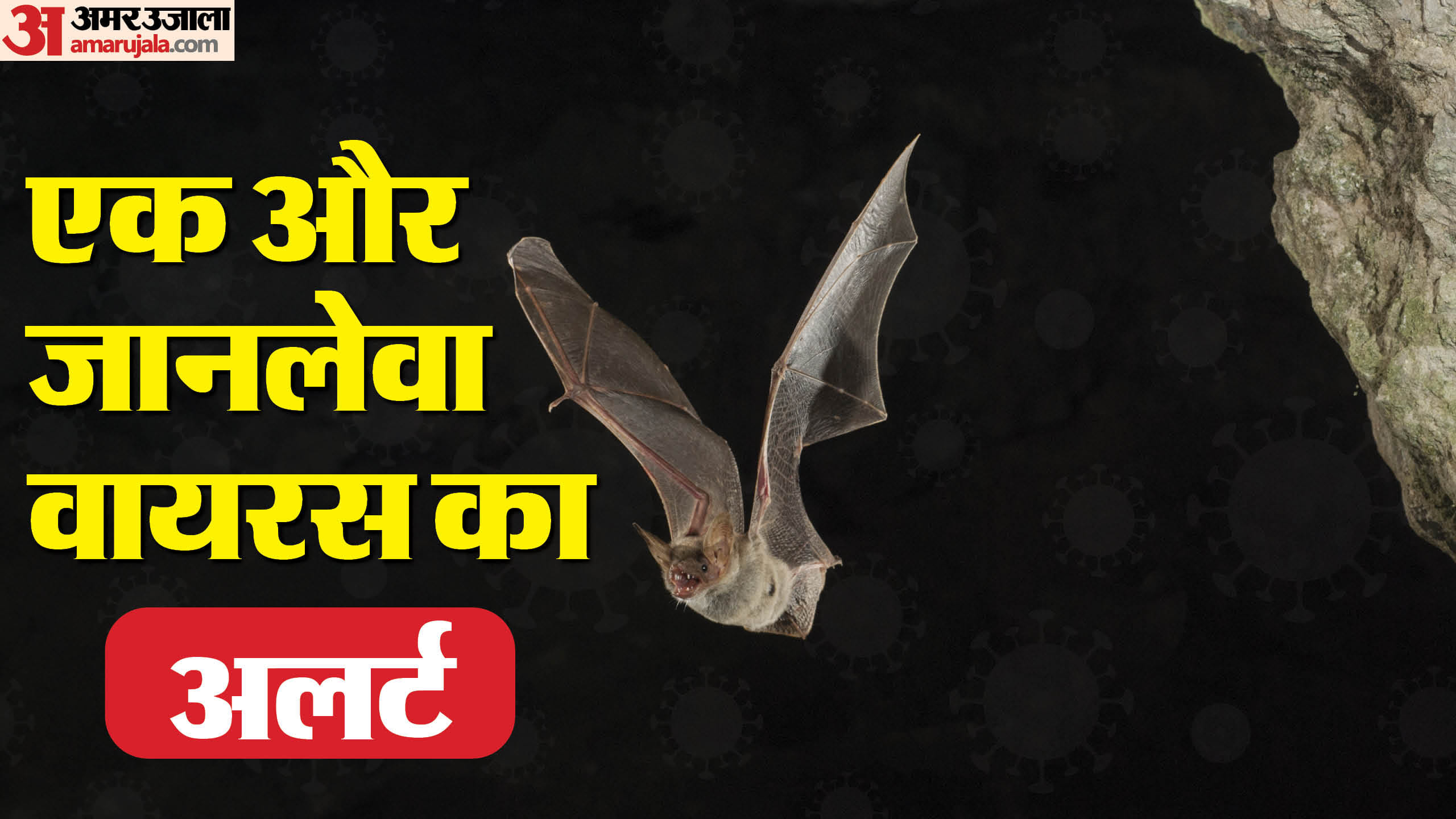 outbreak of Marburg virus disease know what is Bleeding eye disease and its health risk in hindi