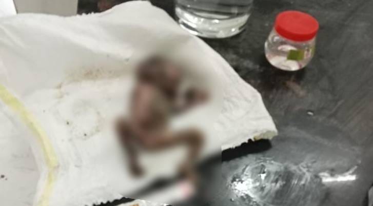 Shahdol News body of newborn was found in toilet of district hospital police started investigating