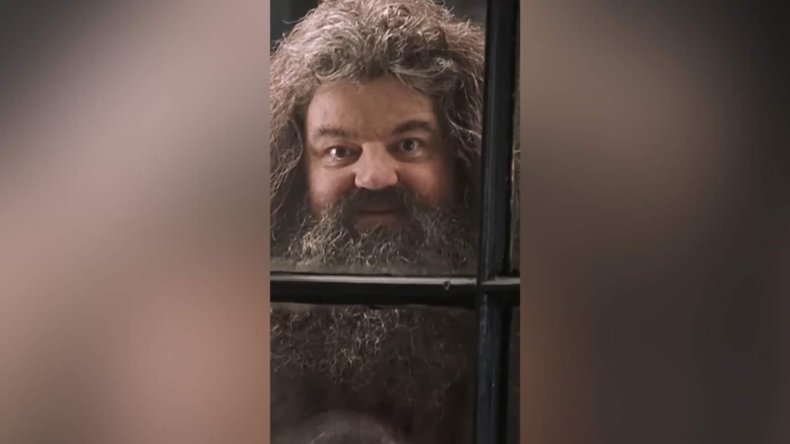 Harry Potter Actors Who Have Died Alan Rickman Richard Harris Richard Griffiths Helen McCrory Maggie Smith