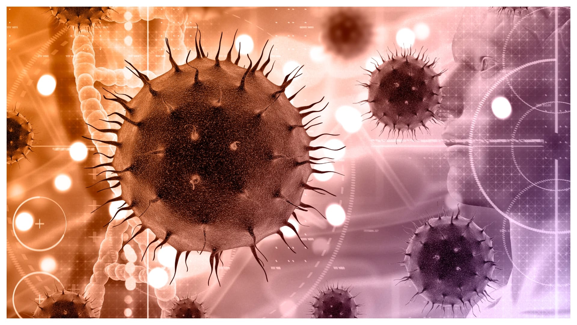 Understanding marburg virus infection and complications why marburg is dangerous than covid 19
