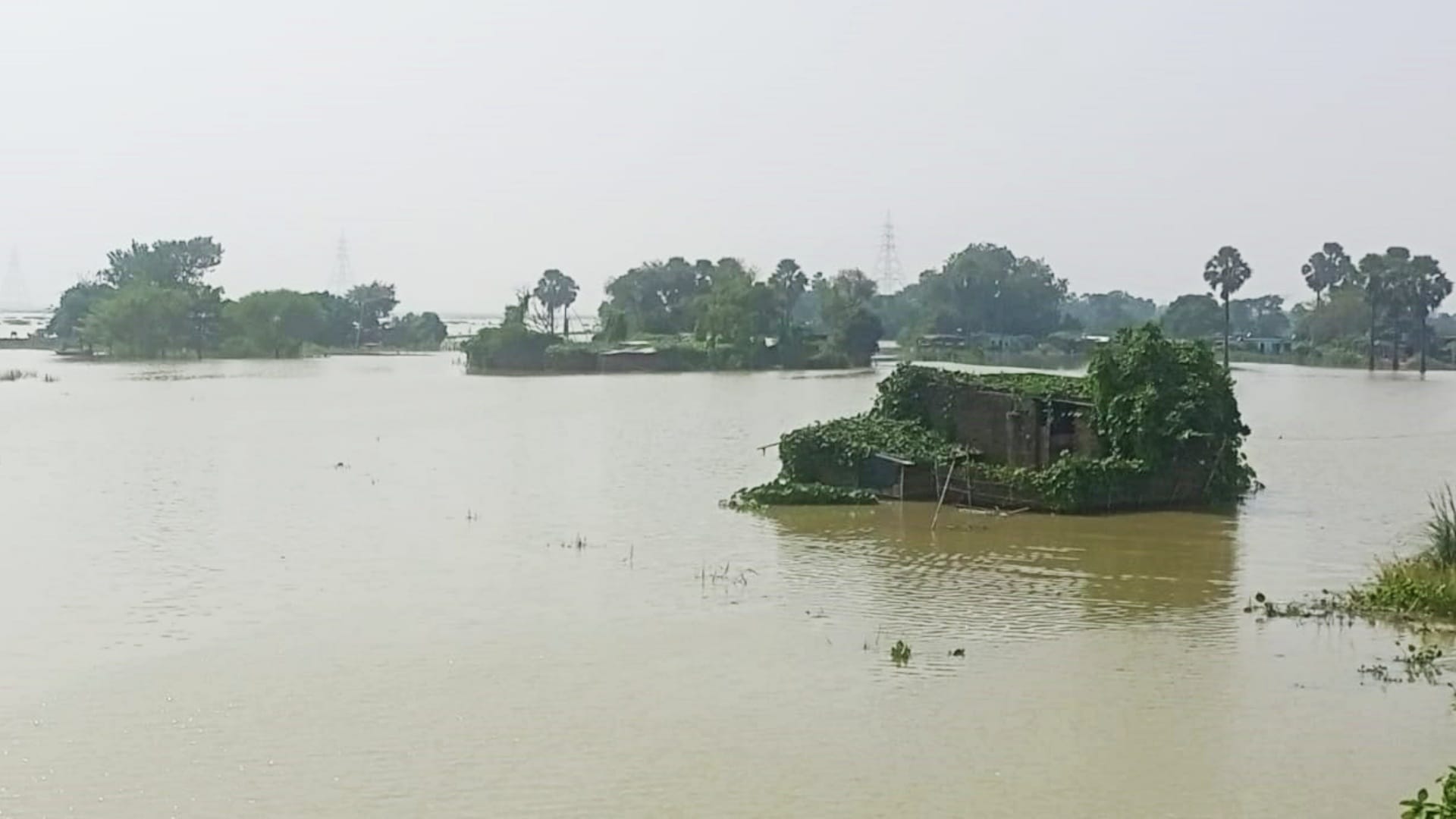 Bihar Flood: Gandak river ring dam broke in Loknathpur of Motihari, dozens of villages in chaos due to flood