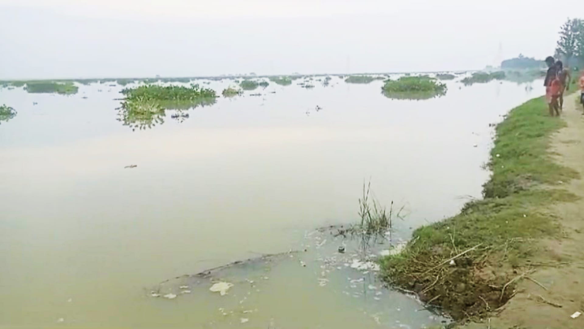 Bihar Flood: Gandak river ring dam broke in Loknathpur of Motihari, dozens of villages in chaos due to flood