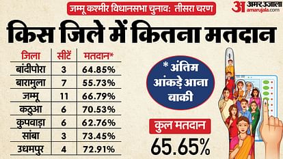 Jammu Kashmir election Phase Three Candidates and voting news in hindi