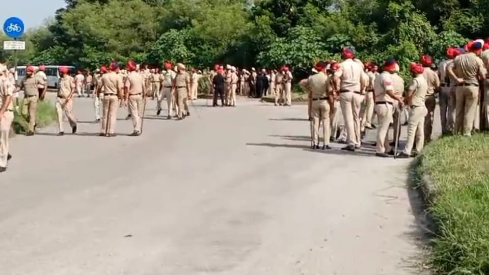 Mohali crime increase every eighth day murder in city