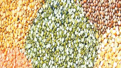 Action if polishing and pesticides are found in pulses and grains