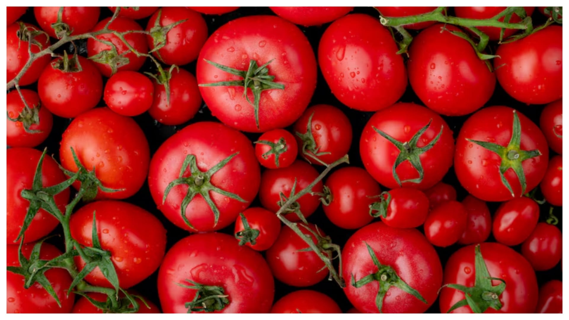 gardening tips for summer garmi me kaun se plant me kaun si khad dale