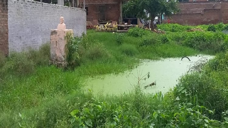 बापू हमें माफ कर देना:  व्यवस्था को शर्मसार करती गांधी जी की प्रतिमाएं, आस-पास गंदगी और जलभराव