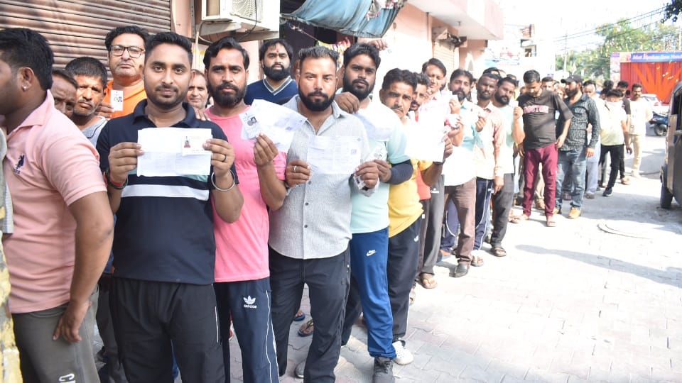 Jammu Kashmir Assembly Election 2024 Result Date BJP Congress PDP NC  News in Hindi