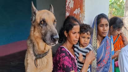 Leopard attacks child pet dog saves his life treatment of innocent child continues IN Kanker