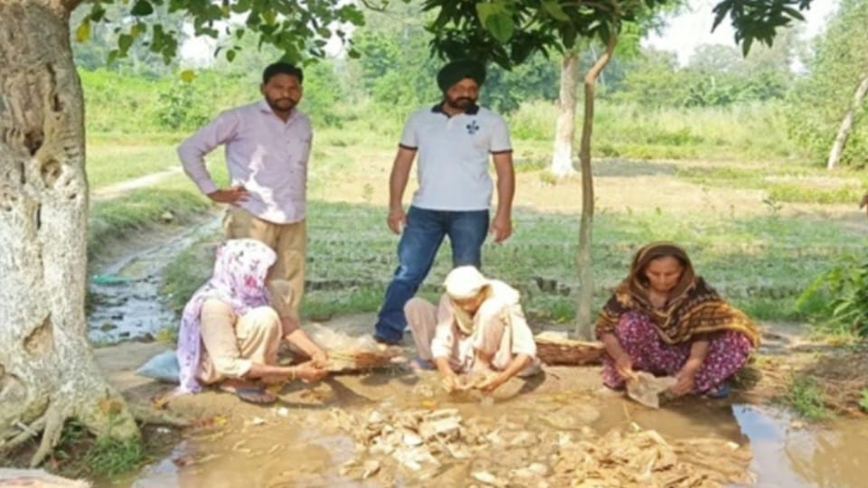 Forest Department Pathankot ranks first in entire Punjab in curbing Plastic pollution in forest area