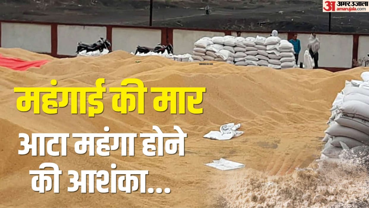 Wheat Price: burden common man's pocket increase flour expensive during Dussehra Diwali, weddings, know reason