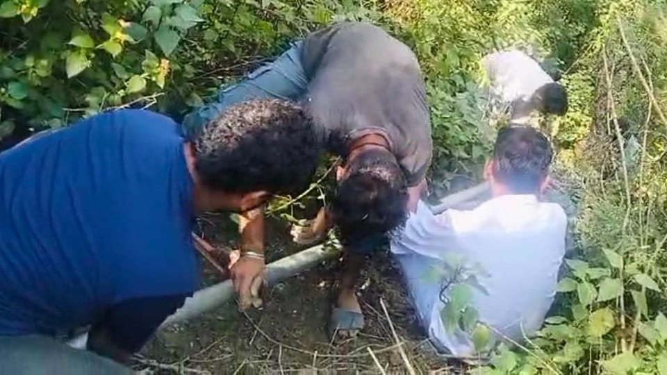 One thousand families did not get water for 15 days in almora