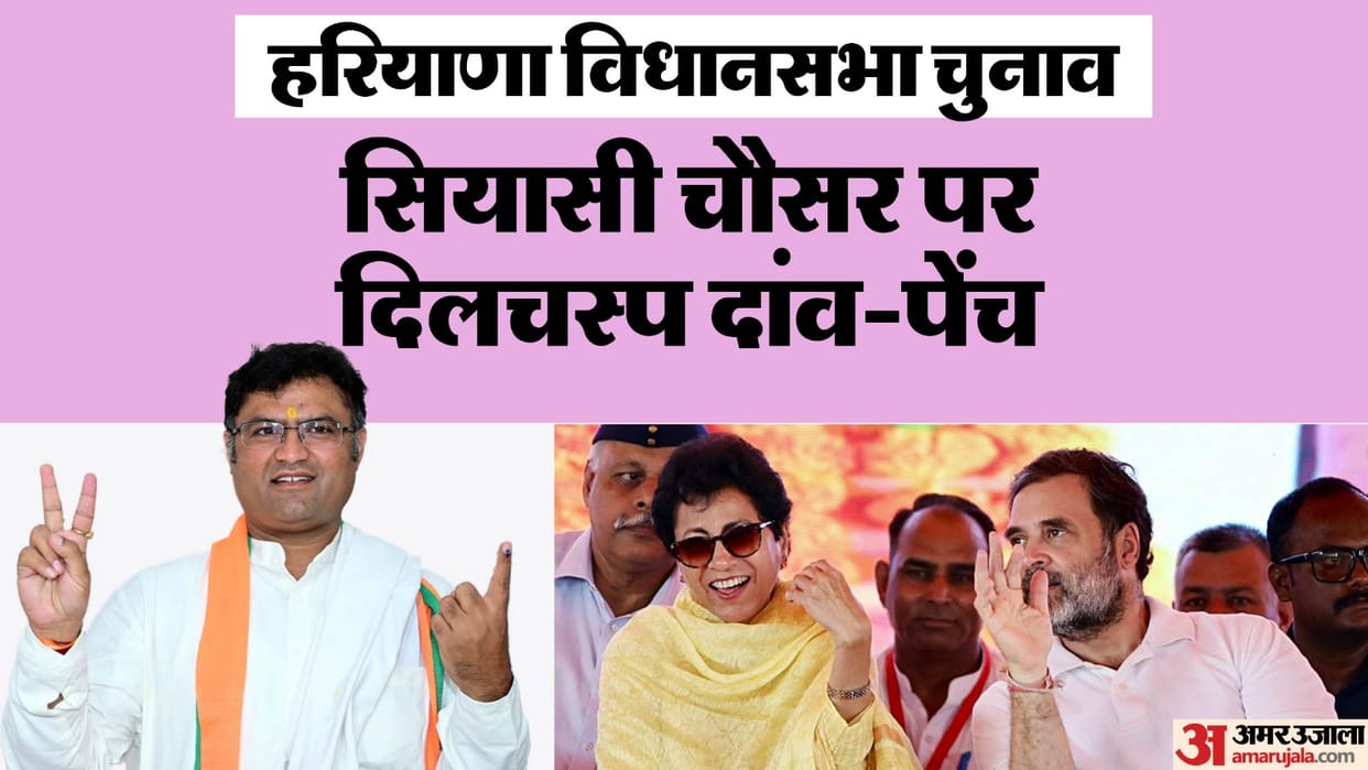 haryana congress side sink strategy tanwar entry risk shailja bjp dalit card challenges