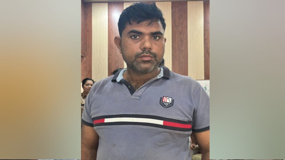 Wife was murdered one and a half months after registering marriage husband had prepared fake documents
