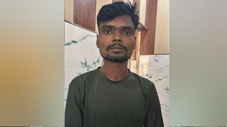 Lucknow Murder for Rs 50 lakh insurance money Pooja died due to head injury inspector had ignored evidence