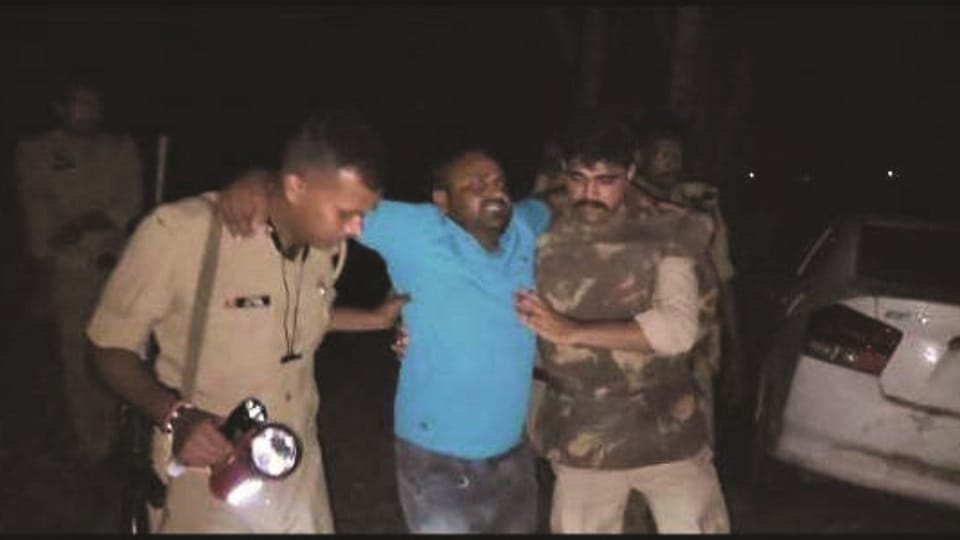 Cow smuggler shot in the leg in police encounter