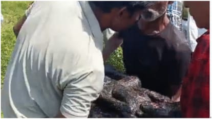 MP News Man Vandalize Ancient Goddess Idol before Navratri at Jalpamata Temple Rewa Villagers furious