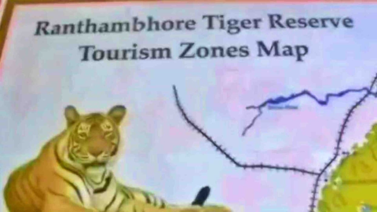 Sawai Madhopur: Bees attack tourist vehicle in Tiger Safari