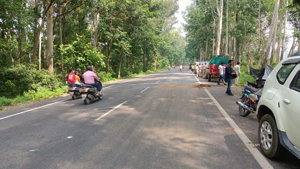 Putting up warning boards will not save the lives of wildlife in haldwani