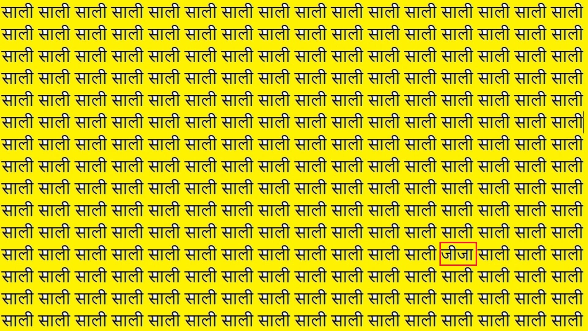 optical illusion eye test find hiden jija in this puzzle viral brain test