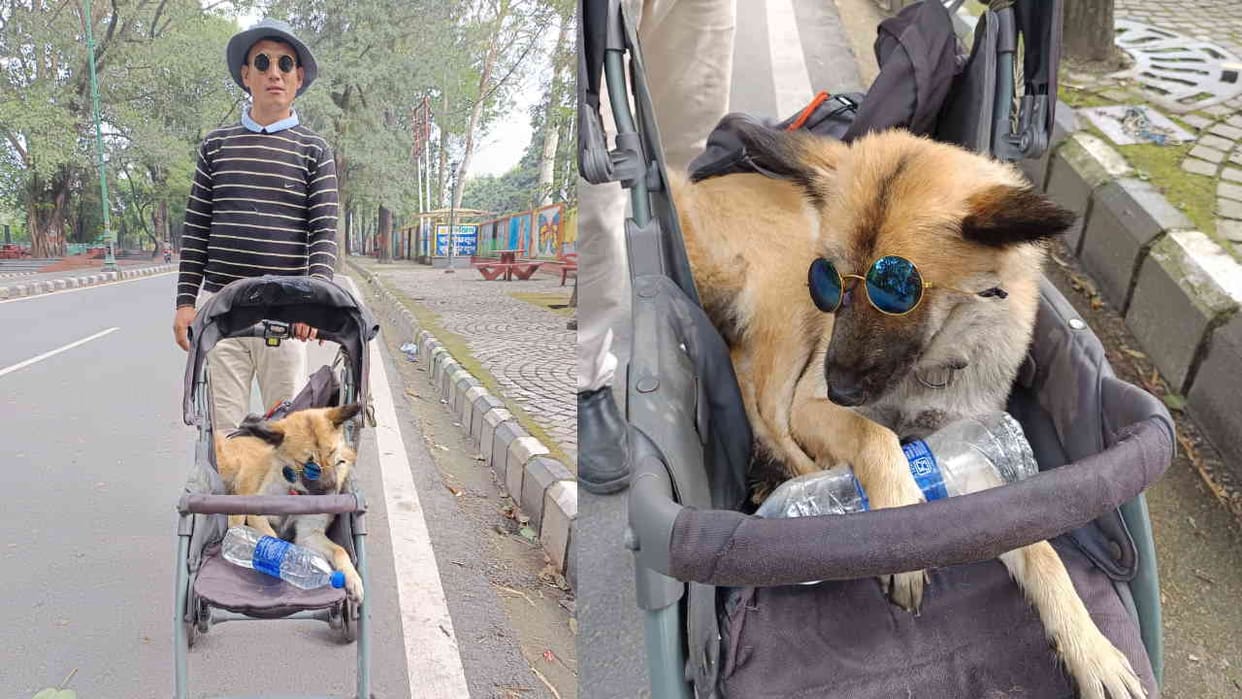 Heartwarming story of Chile and his beloved dog Kungji animal lover Dehradun News in Hindi