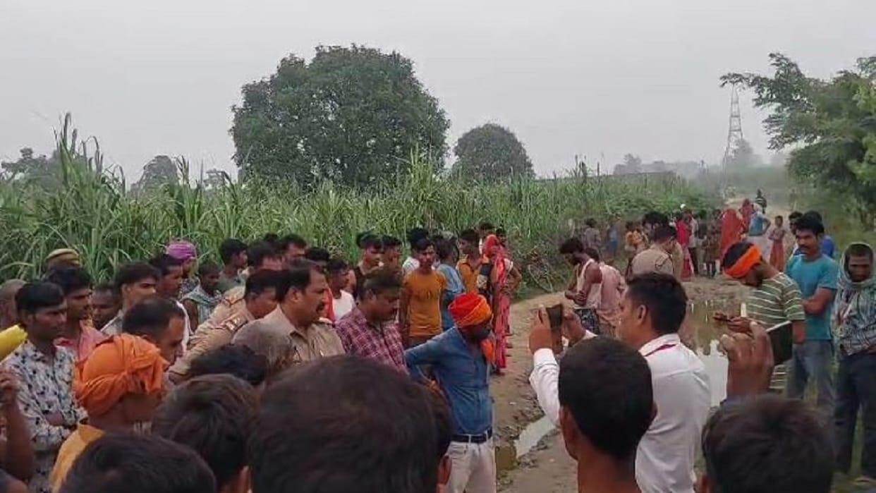 Remains of cattle found on the roadside in Dhaurahra area in Lakhimpur kheri