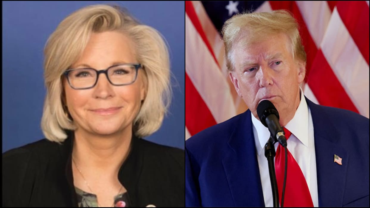 Ex Republican Congress Woman criticizes Donald Trump supports kamala harris news in hindi