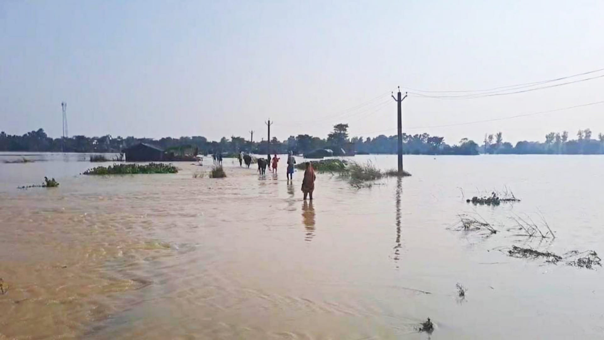 Muzaffarpur: Administration keeping close eye on flood, Gandak river crossing danger mark; Community kitchen