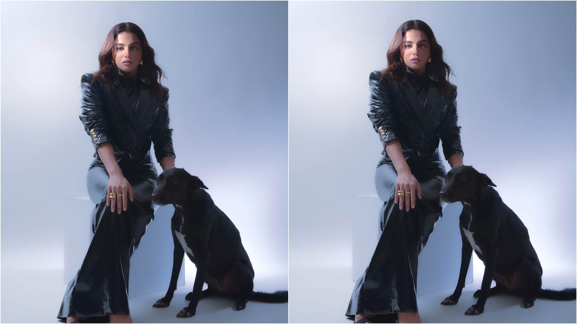 Wamiqa Gabbi have special attachment with animals feeling sad to see harrasment actress have six dog pets
