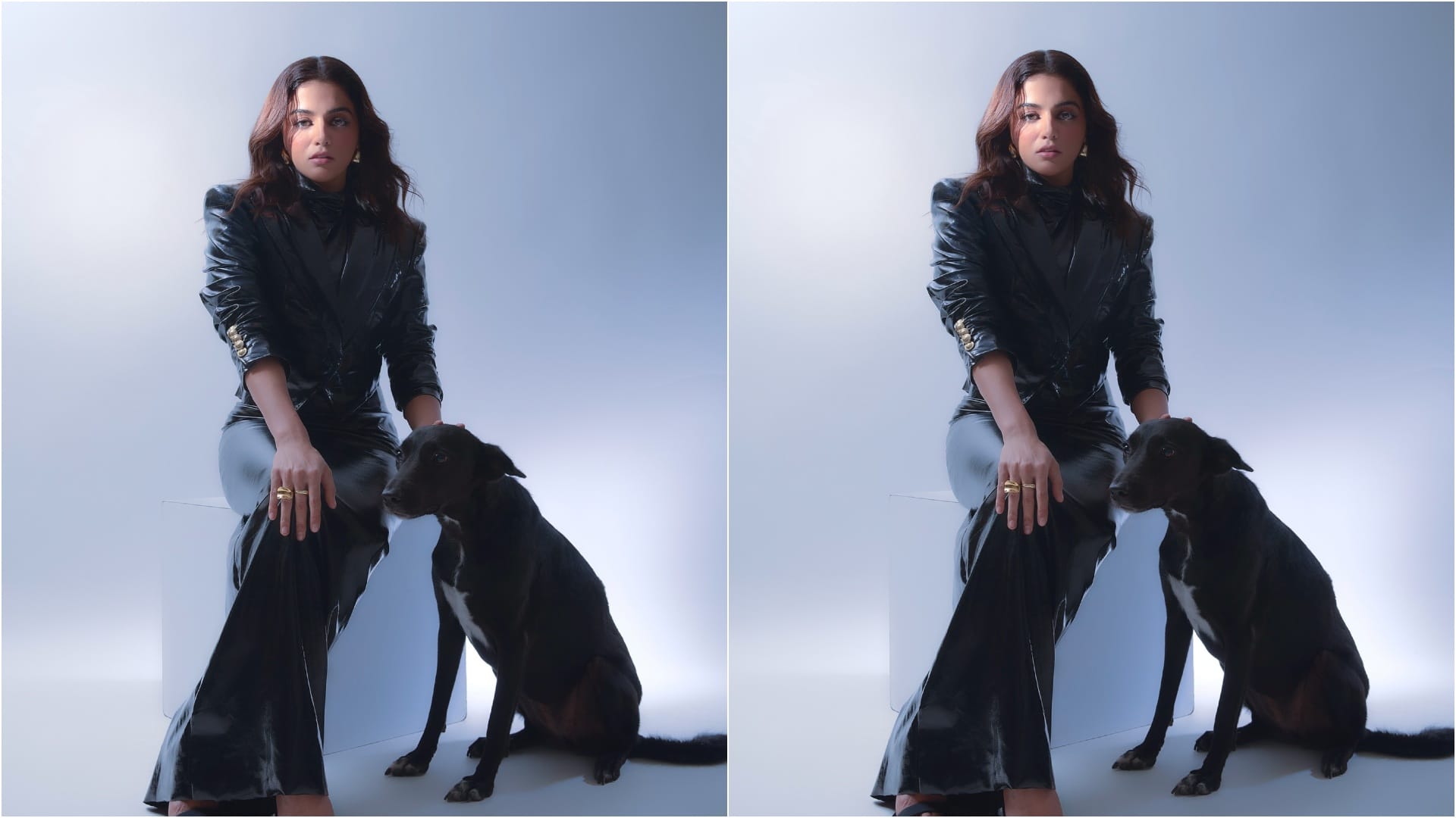 Wamiqa Gabbi have special attachment with animals feeling sad to see harrasment actress have six dog pets
