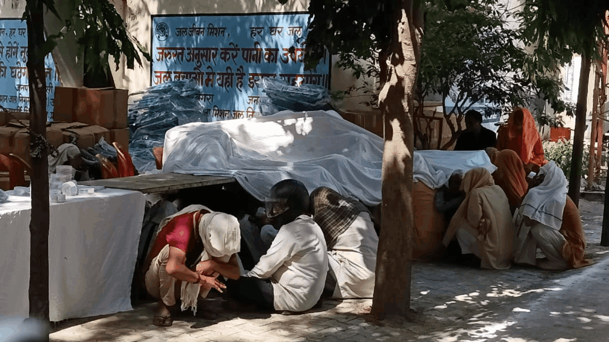 bees buzzing due to loud sound attacked people In Jhansi