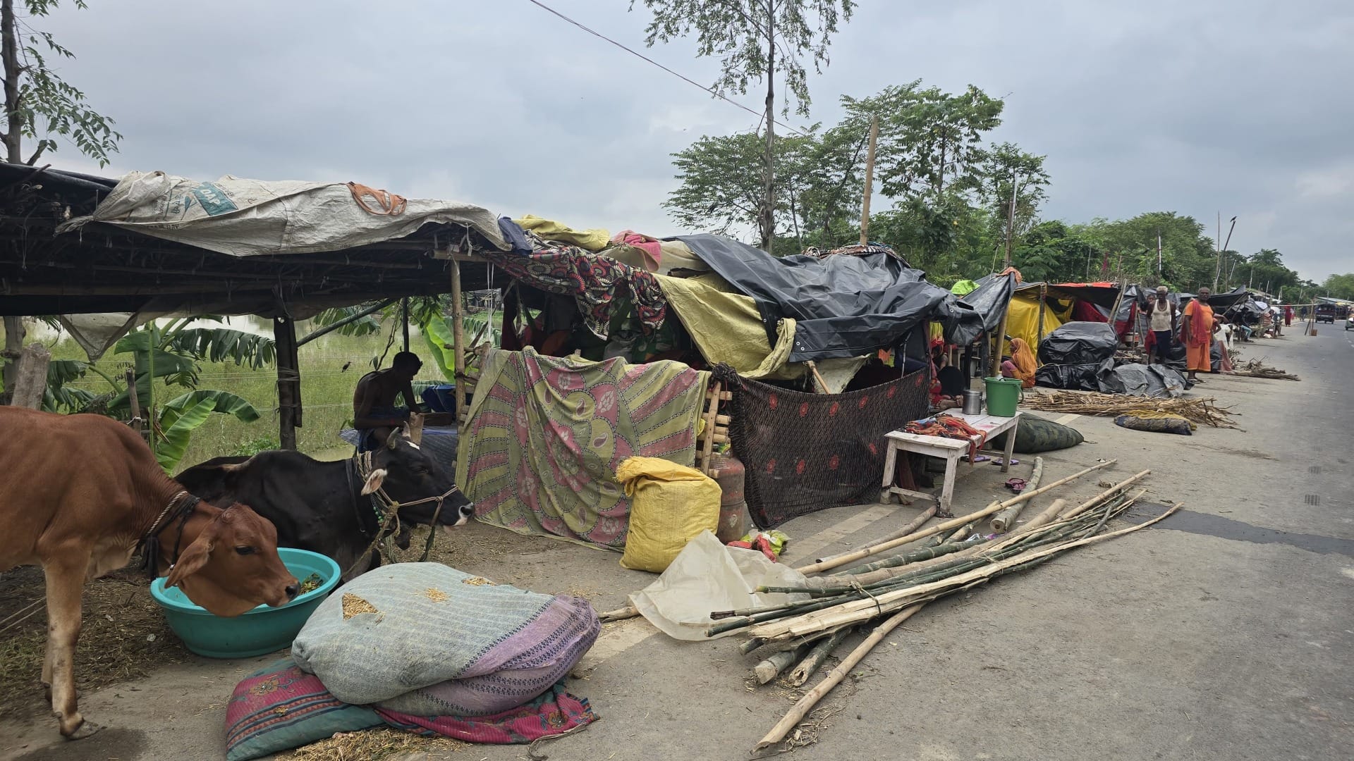 Bihar Flood: Flood victims are somehow passing time on embankments and roads in Saharsa, Darbhanga