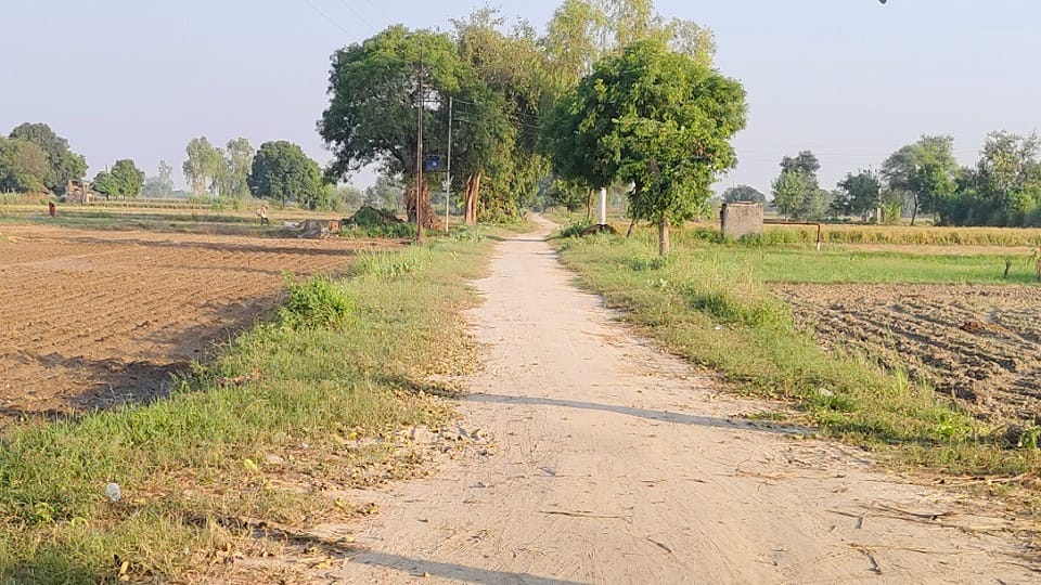 Sent proposals to pave 46 roads
