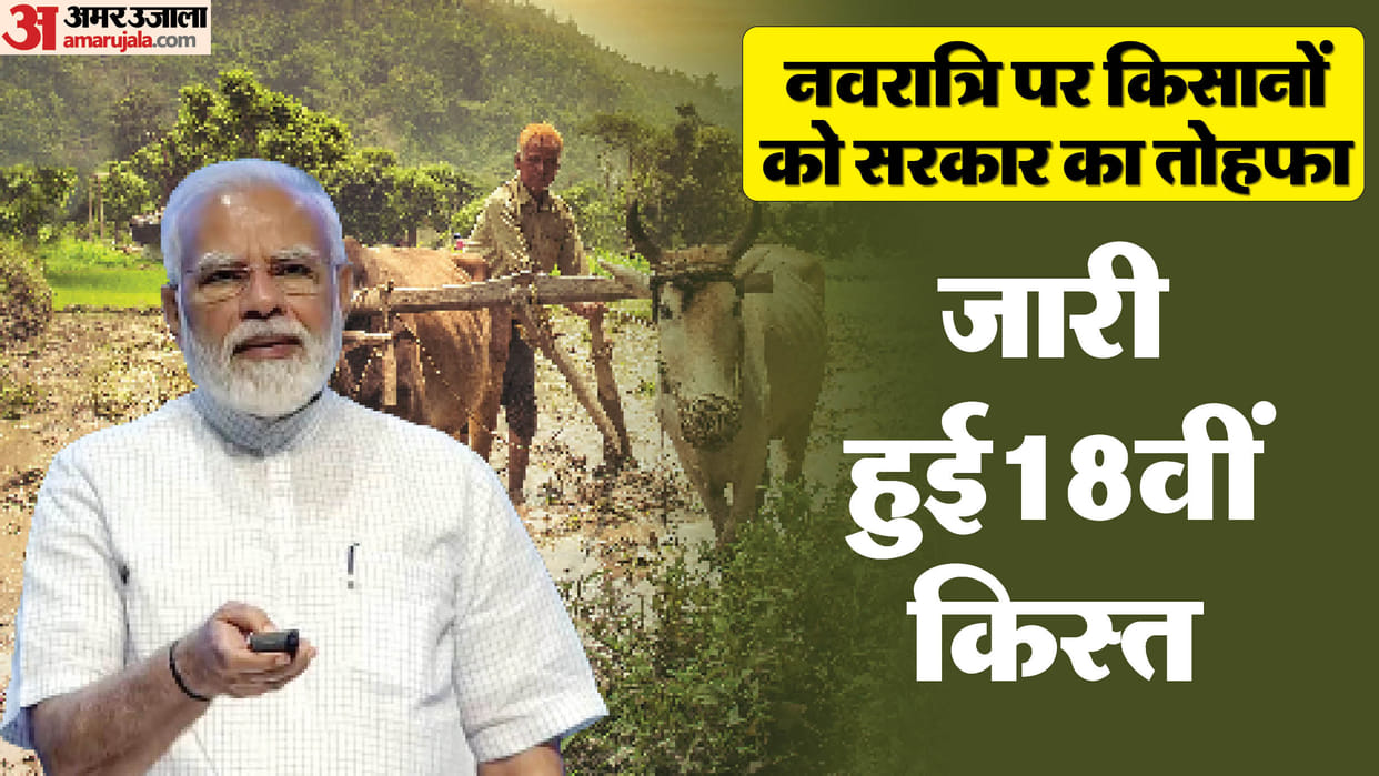 PM Kisan 18th Installment Released Know How to Check PM Kisan Money Status Full Process News in Hindi