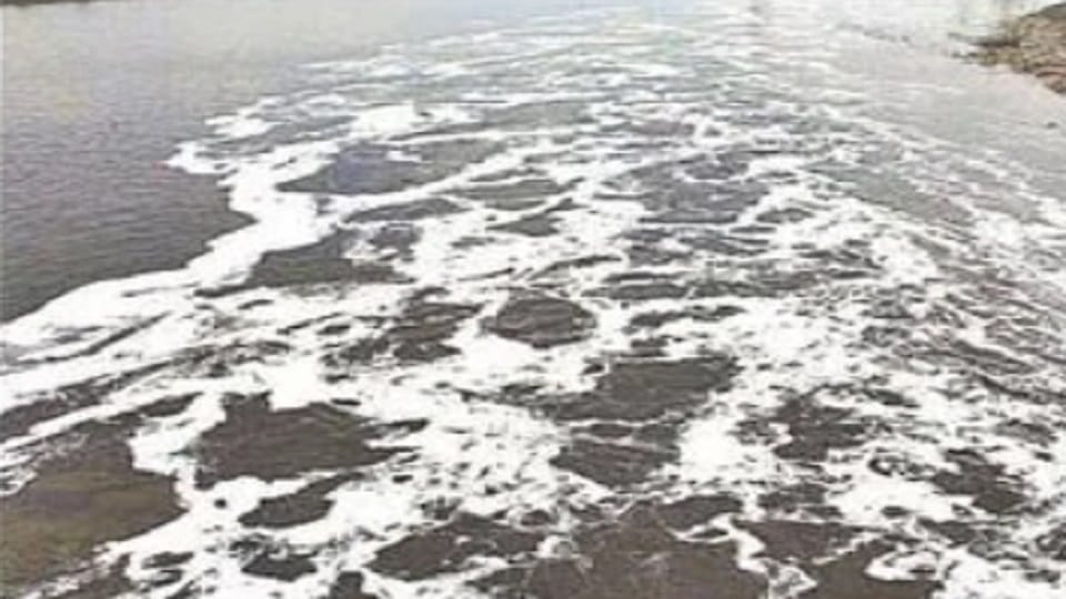 Delhi Pollution Control Board report: BOD level increased in Yamuna, above the standard in most parts.