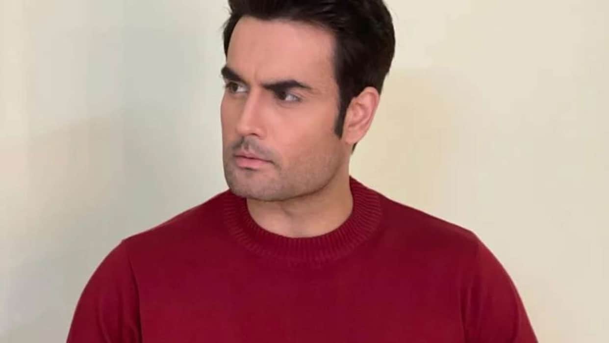 Bigg Boss 18 Contestant Vivian Dsena biography career shows struggle personal life