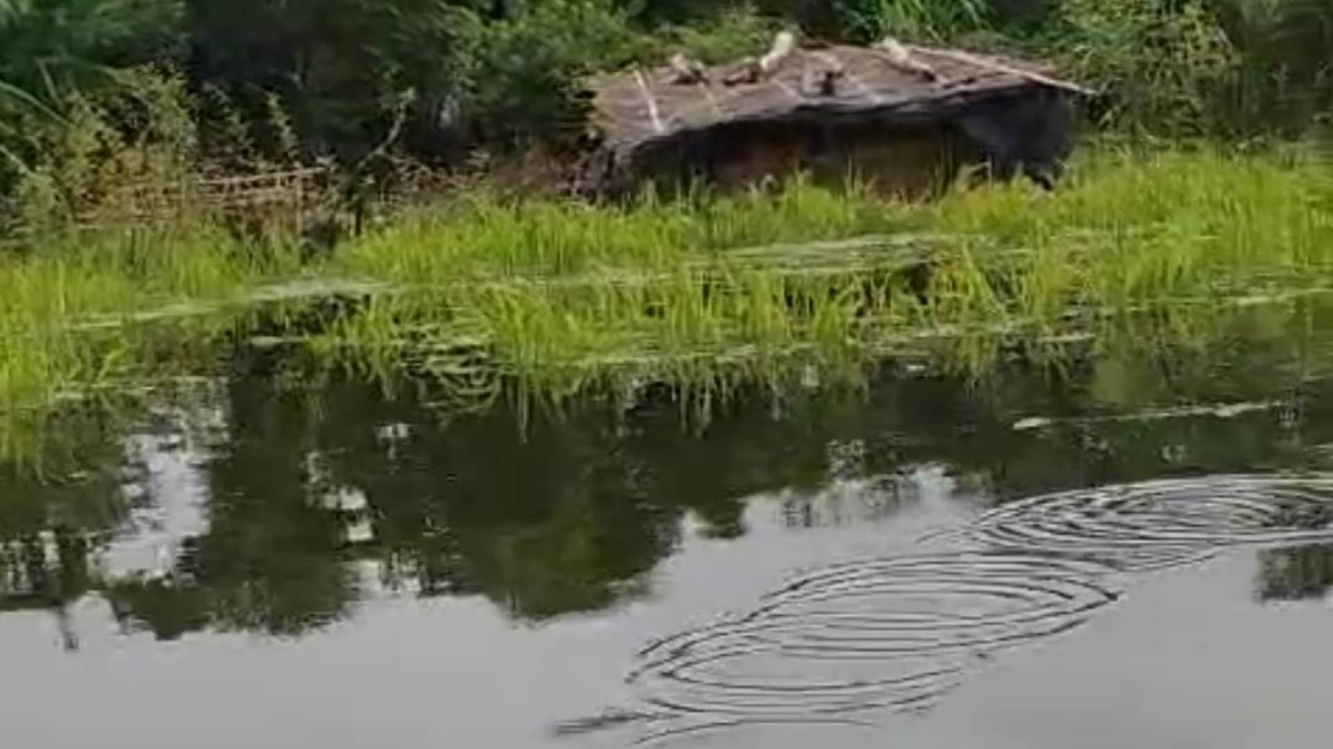 Bihar Flood: After Bagmati, Lakhandei river wreaks havoc, problems of flood victims increased in Muzaffarpur