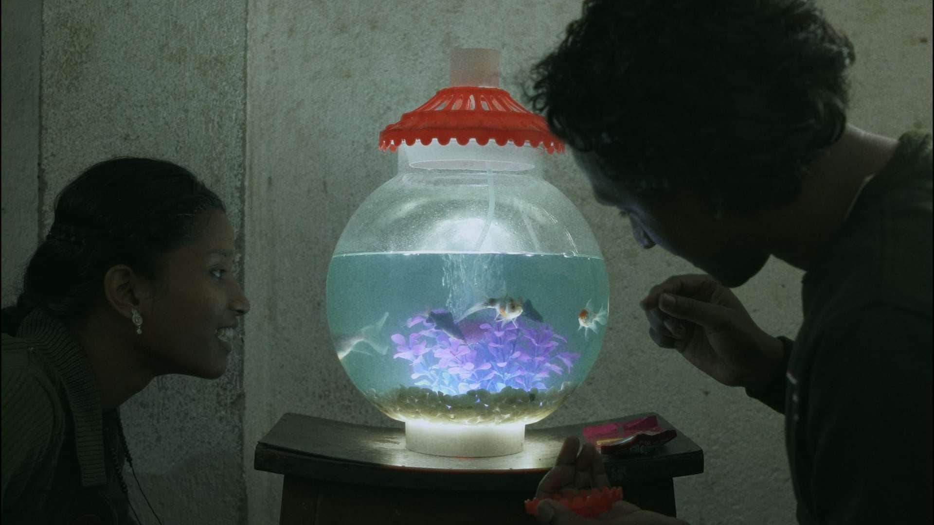 Celestina and Lawrence to compete with All We Imagine As Light in Sao Paulo International Film Festival