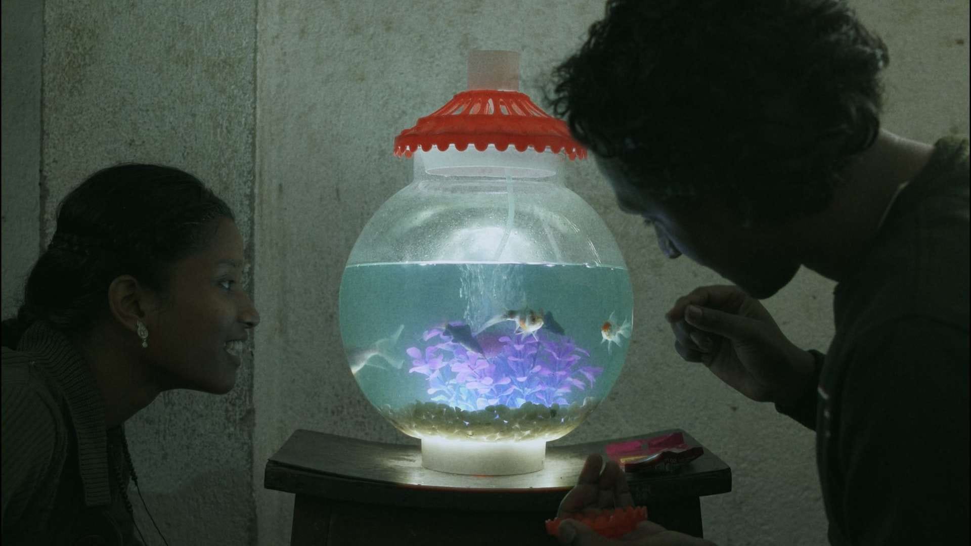 Celestina and Lawrence to compete with All We Imagine As Light in Sao Paulo International Film Festival