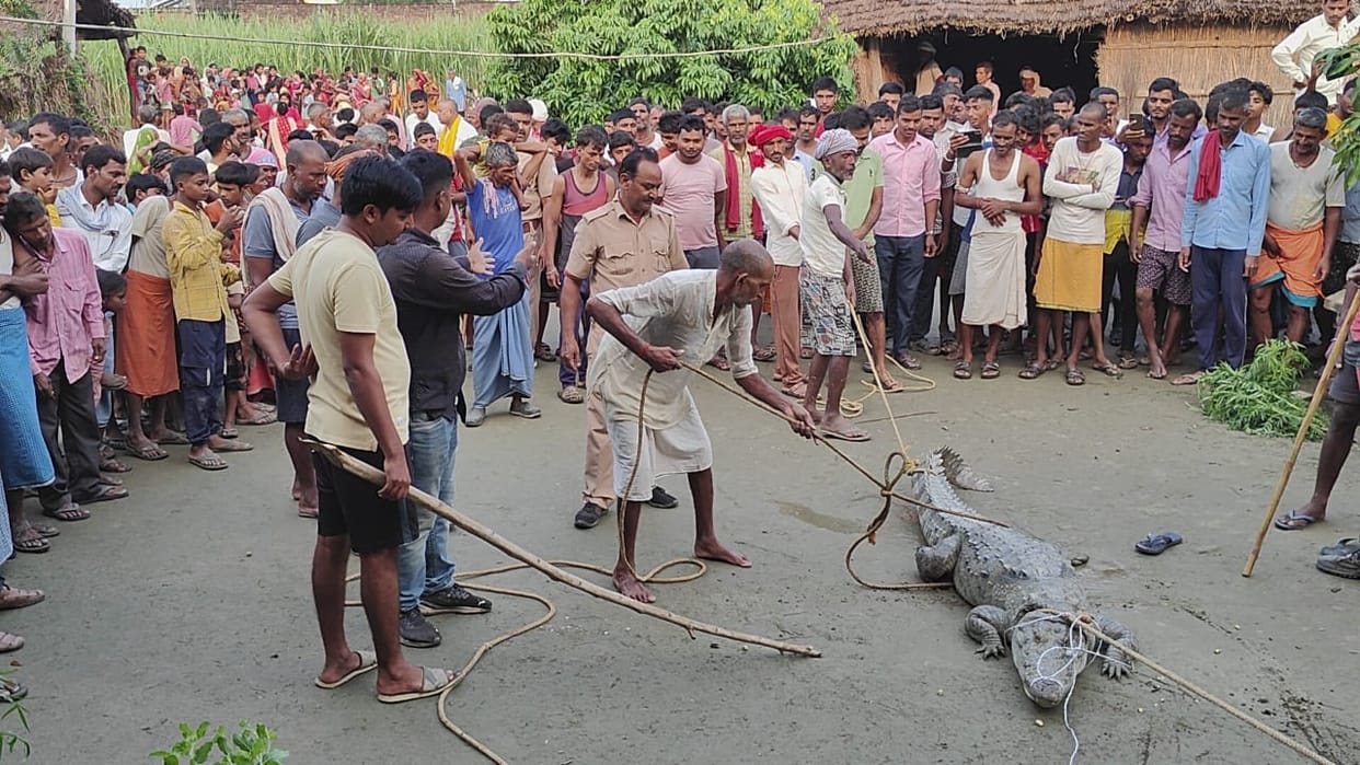 Bahraich: A giant crocodile entered the house late at night, created a stir, came out after hours of rescue