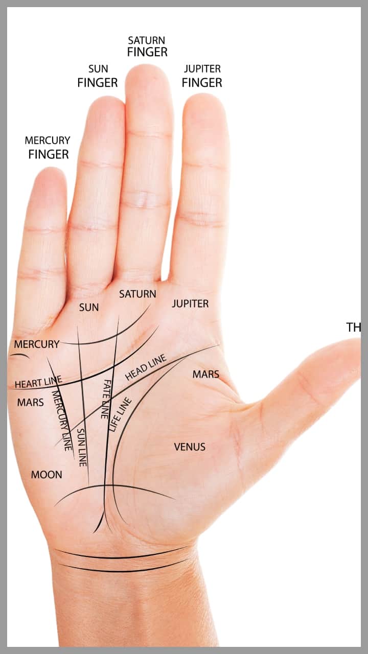 palmistry