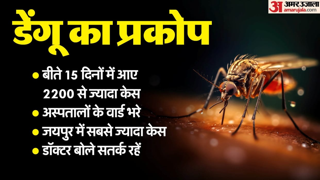 Rajasthan News: Dengue outbreak started increasing, children are most affected, more than 2000 cases in 2 week