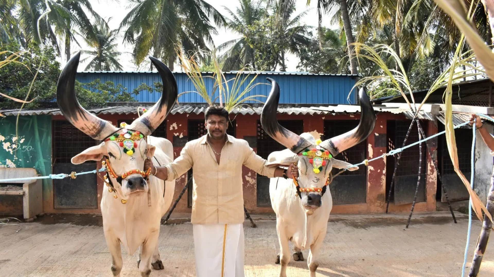 Karnataka high court grants interim bail to Darshan Thoogudeepa to undergo surgery in Renukaswamy murder case